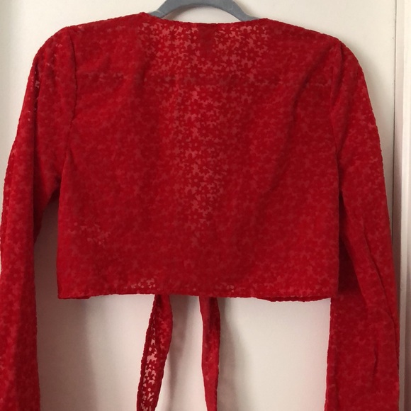 NWT Wild Fable Target Red Suede Floral Translucent Tie Crop Top Long Sleeves - S - Picture 12 of 12